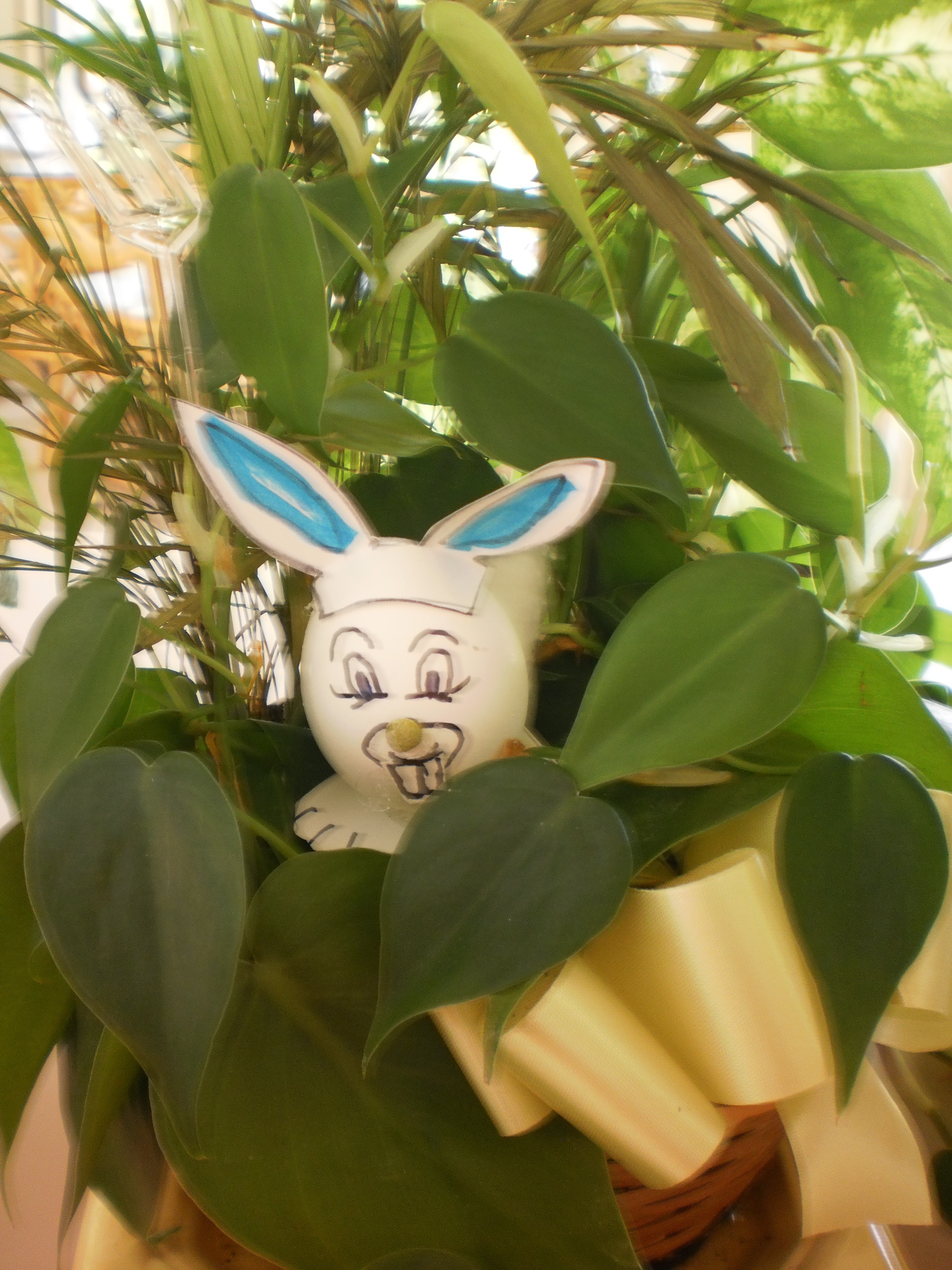 Easter Wabbit Munchin of Peggy's Plants